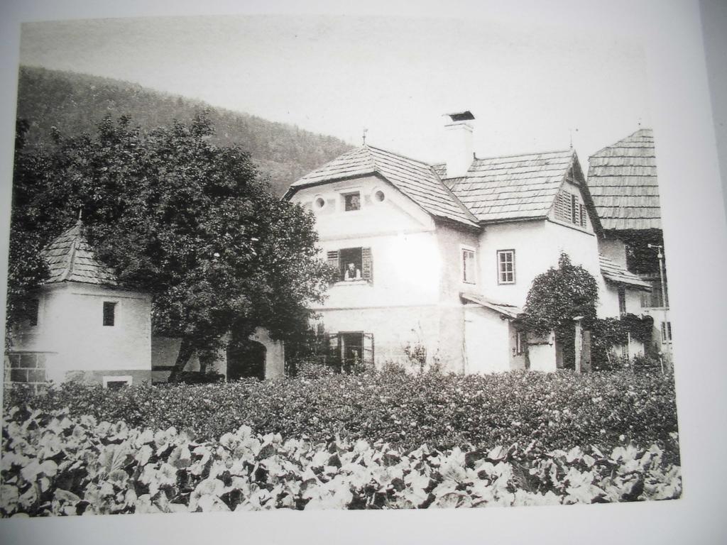 Pension & Ferienwohnung Dullnig Gmünd Zewnętrze zdjęcie
